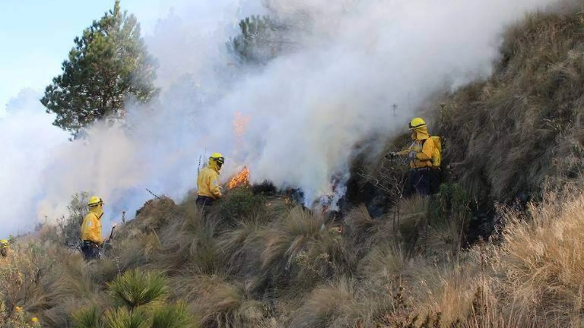 incendios forestales